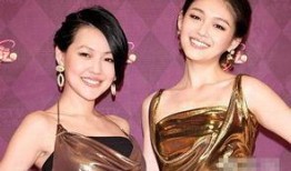 娱乐圈10大脏女明星 八卦爆料网,揭秘八卦爆料背后的真相